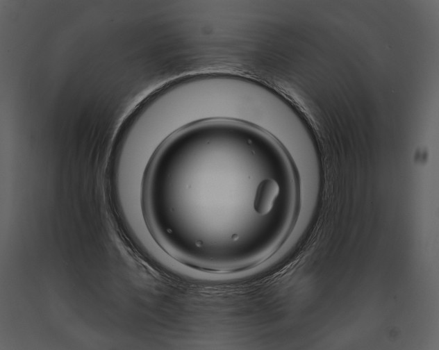 X0000090960532200708241155