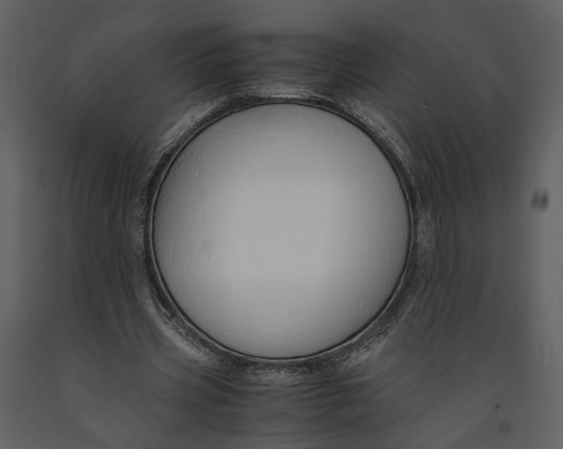 X0000090960533200708241155