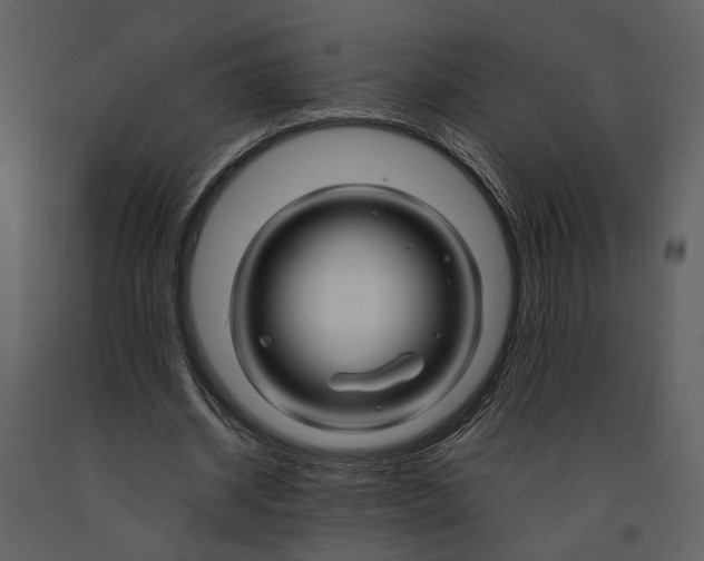 X0000090960534200708241155