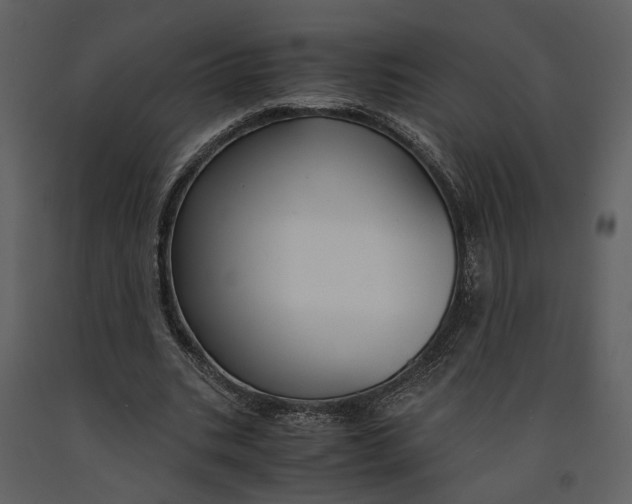 X0000090960535200708241155