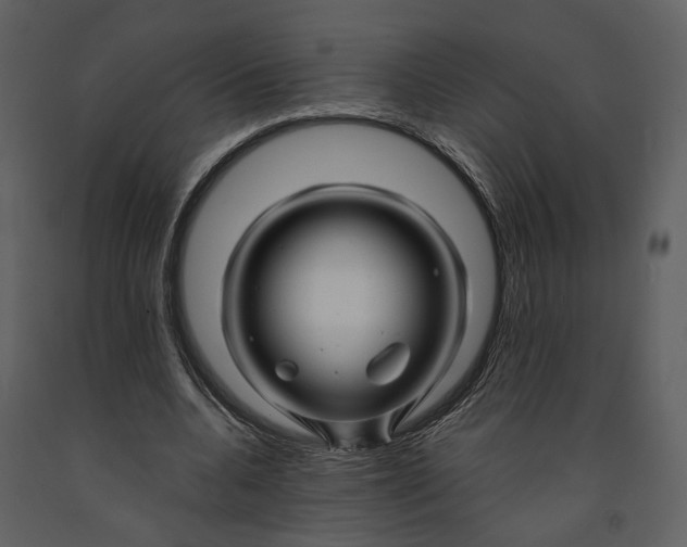 X0000090960536200708241155