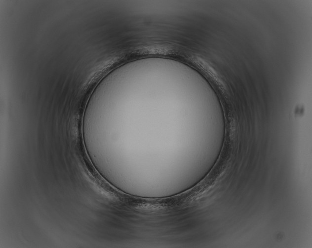 X0000090960537200708241155