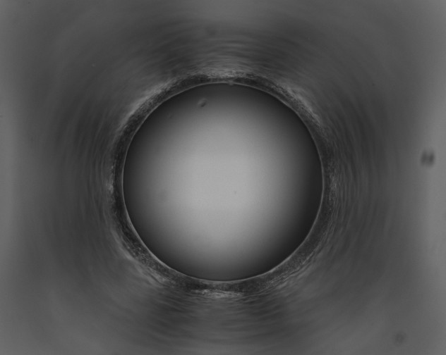 X0000090960539200708241155