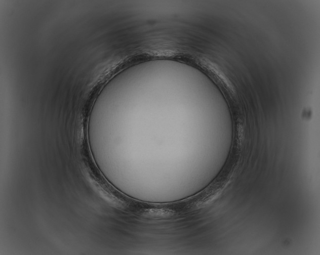 X0000090960541200708241155