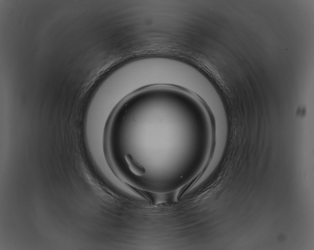 X0000090960542200708241155