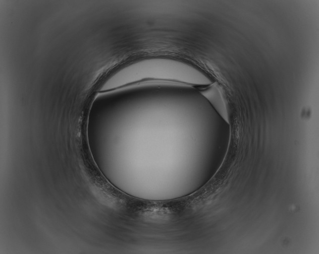 X0000090960543200708241155