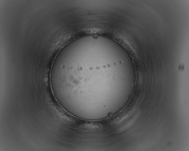 X0000090960545200708241155