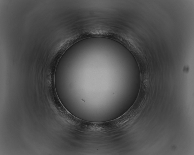 X0000090960547200708241155