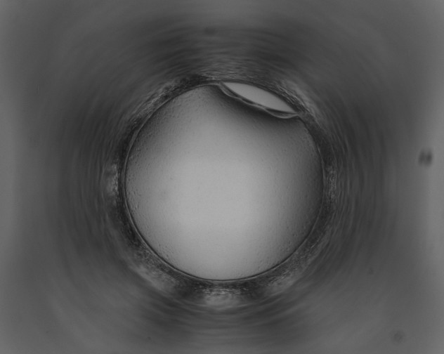 X0000090960549200708241155