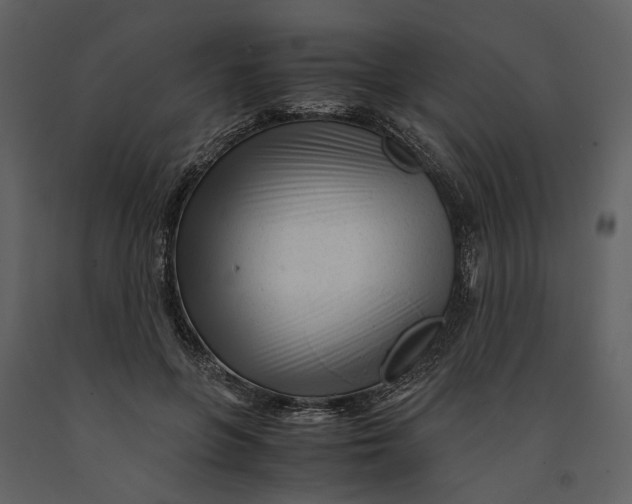 X0000090960551200708241155