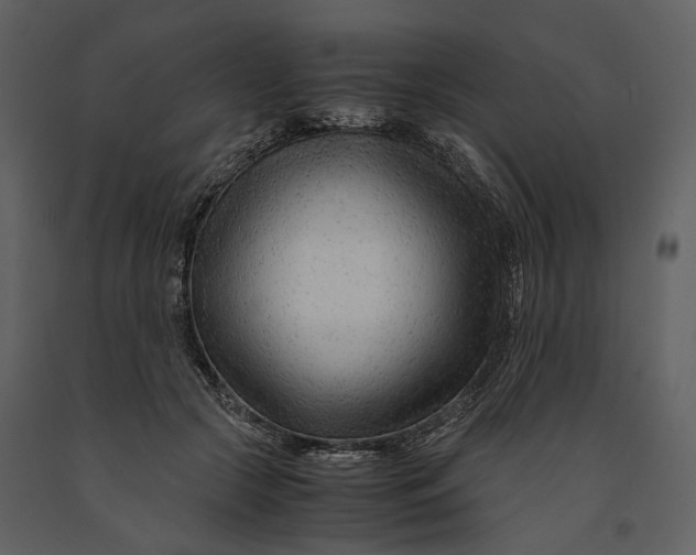 X0000090960553200708241155