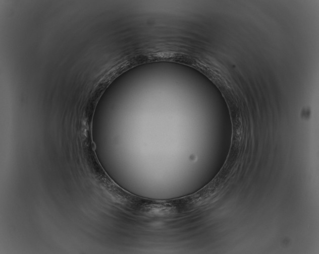 X0000090960555200708241155