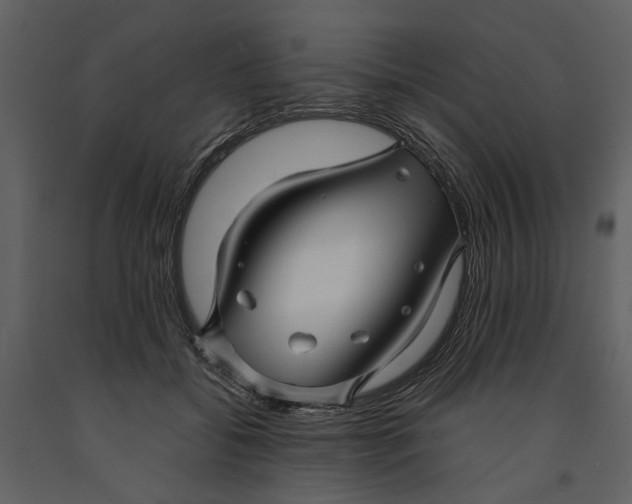 X0000090960556200708241155