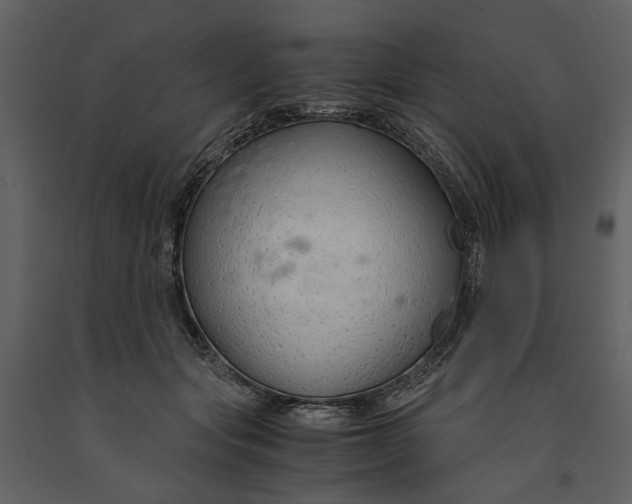 X0000090960557200708241155