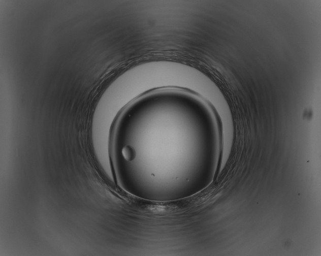 X0000090960558200708241155