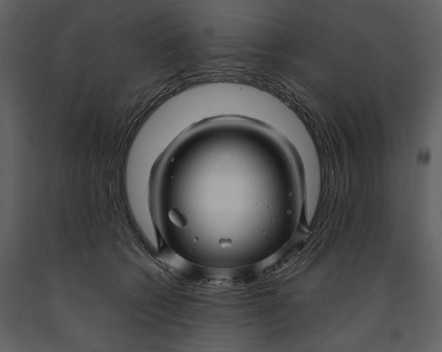 X0000090960562200708241155