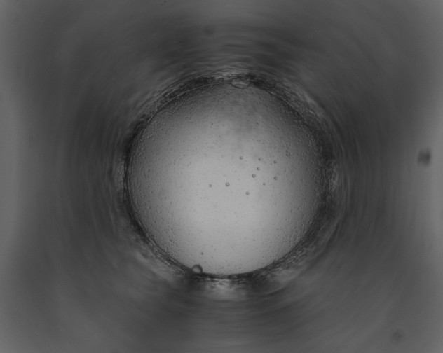 X0000090960565200708241155