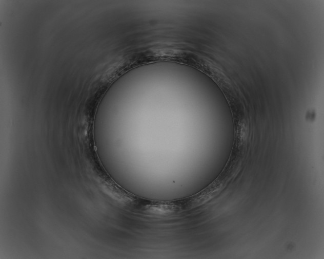 X0000090960567200708241155