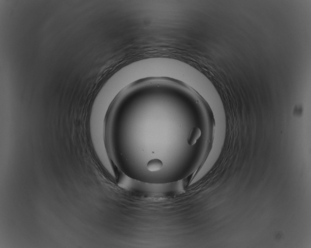 X0000090960570200708241155