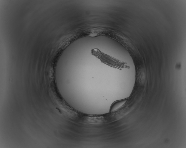 X0000090960571200708241155