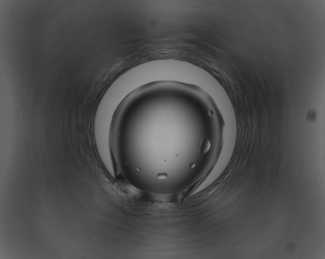 X0000090960574200708241155