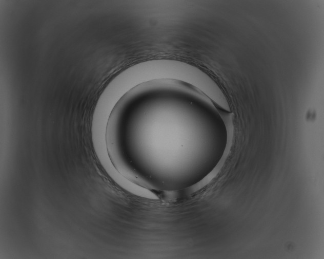 X0000090960576200708241155