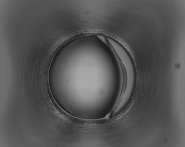 X0000090960577200708241155