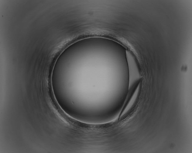 X0000090960581200708241155