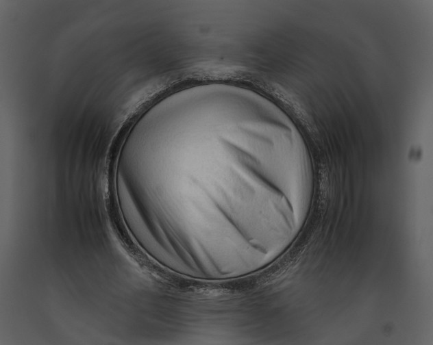 X0000090960582200708241155