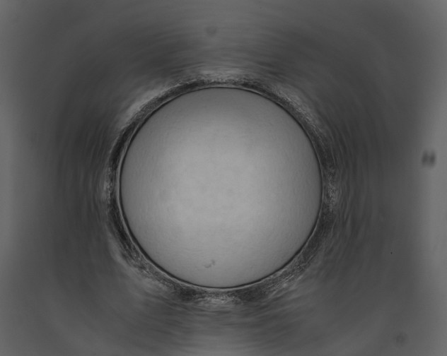 X0000090960583200708241154