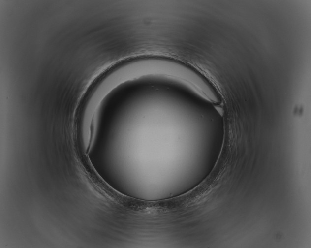 X0000090960584200708241154