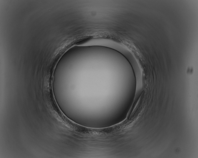 X0000090960585200708241154