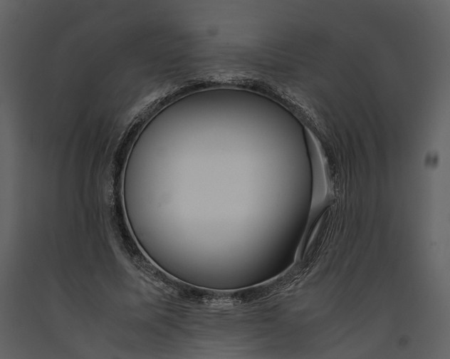 X0000090960587200708241154