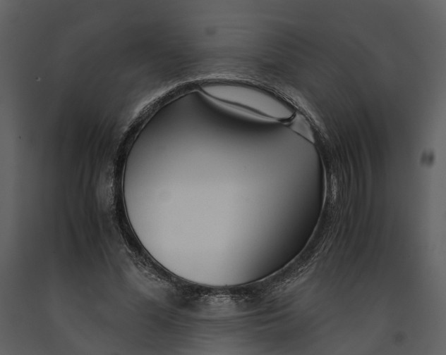 X0000090960588200708241154