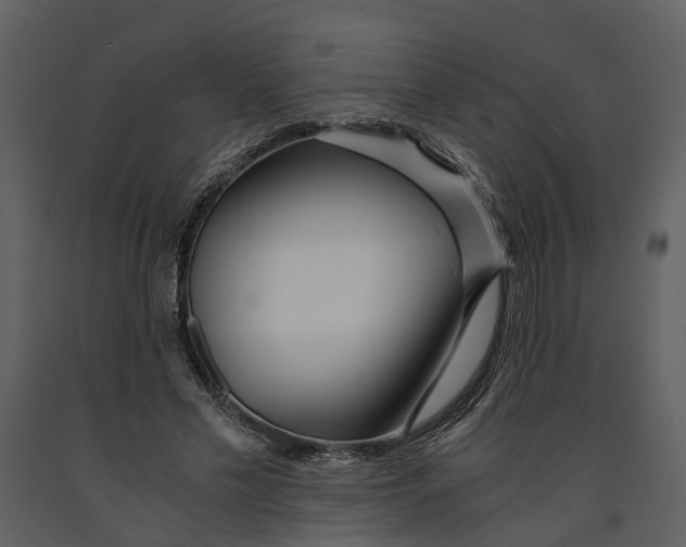 X0000090960589200708241154