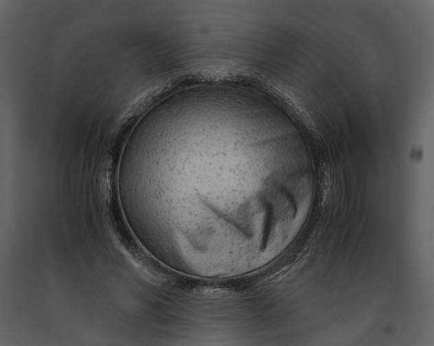 X0000090960590200708241154