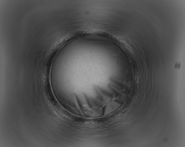 X0000090960591200708241154