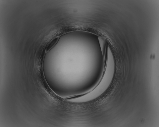 X0000090960593200708241154