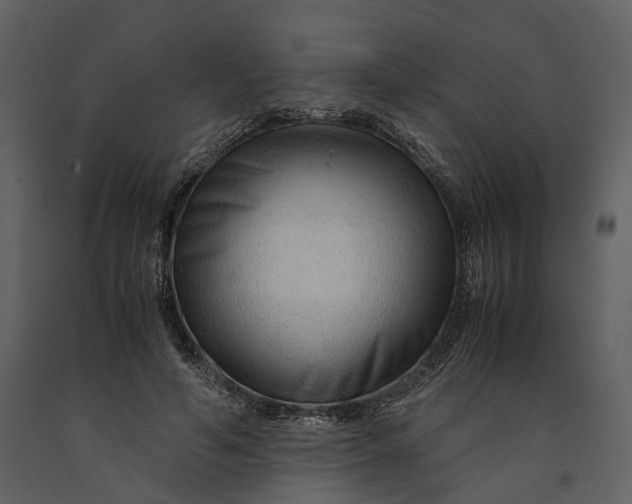 X0000090960594200708241154