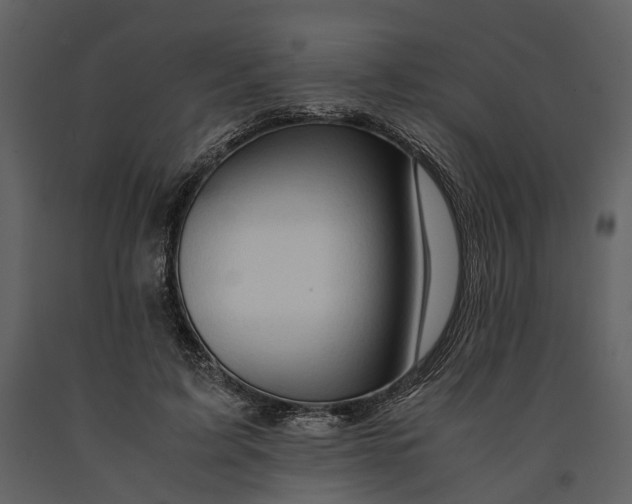 X0000090960595200708241154