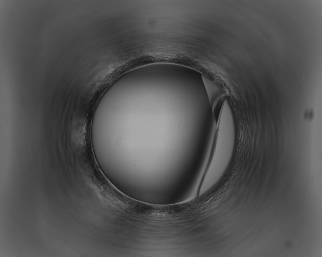 X0000090960596200708241154