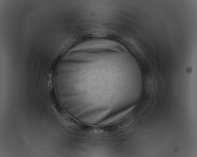 X0000090960598200708241154