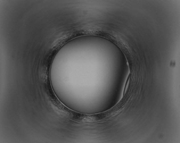 X0000090960599200708241154