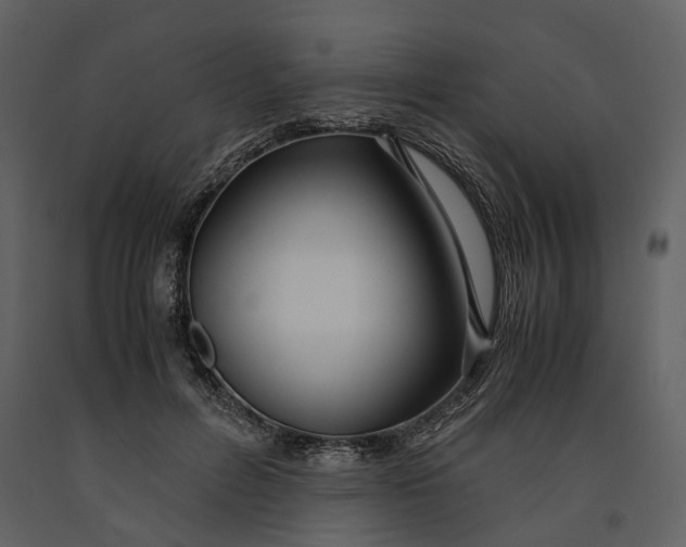 X0000090960600200708241154