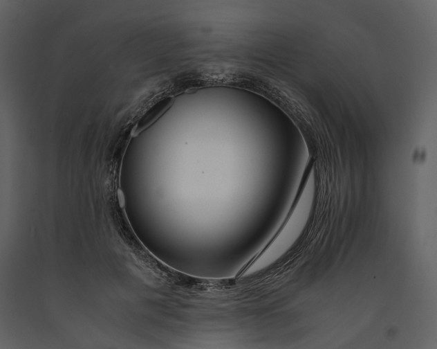 X0000090960601200708241154