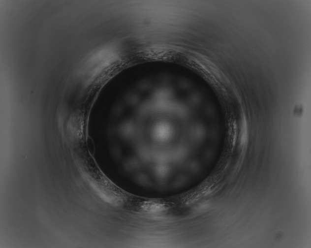 X0000090960602200708241154