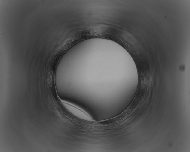 X0000090960603200708241154