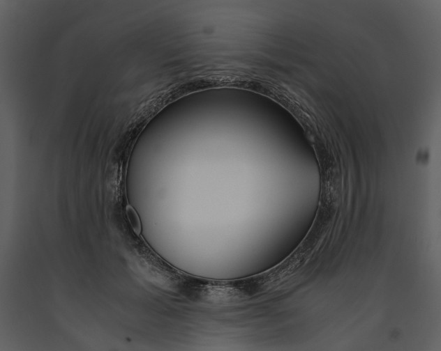 X0000090960605200708241154