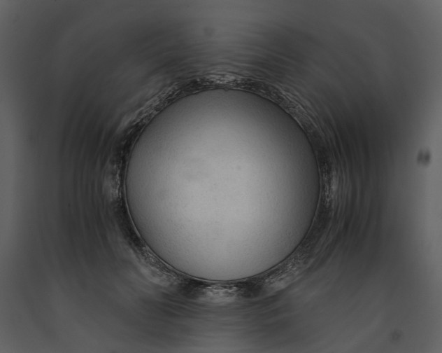 X0000090960606200708241154