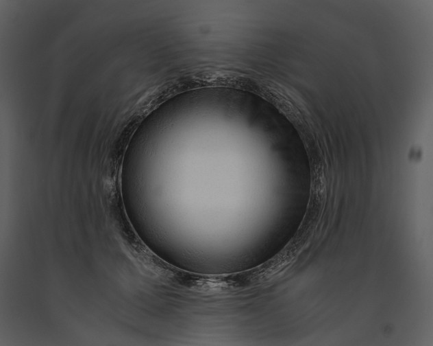 X0000090960607200708241154